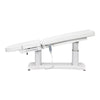 Tranquility 4 Motors Electric Medical Spa Treatment Table