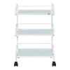 Damien Medical Spa Trolley Cart