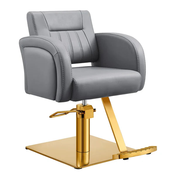 Anodic Salon Styling Chairs