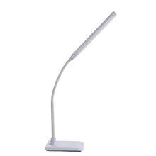  WS DAYLIGHT LED LIGHT - UN1420