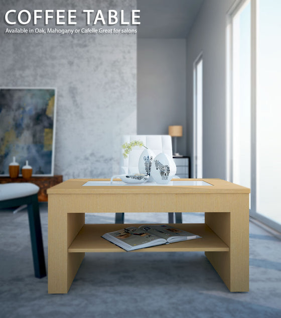 Salon Coffee Table