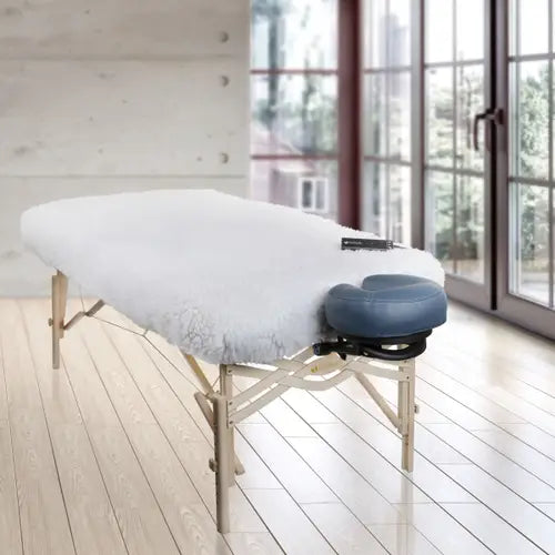 DLX™ Digital Massage Table Warmer
