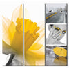 Fresh Daffodil Ensemble Canvas Mural