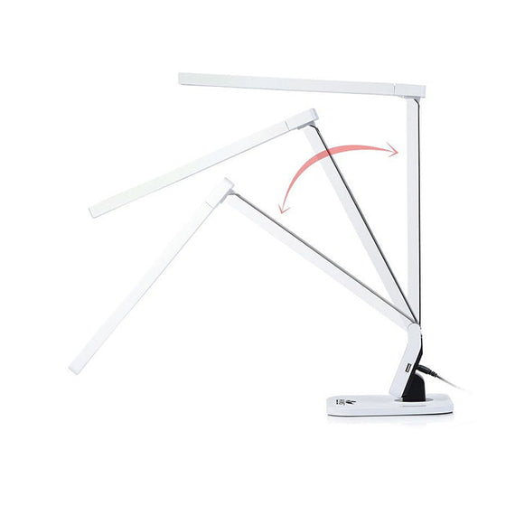 ANS LED Desk Lamp