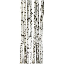  Wall Decal - Birch Tree