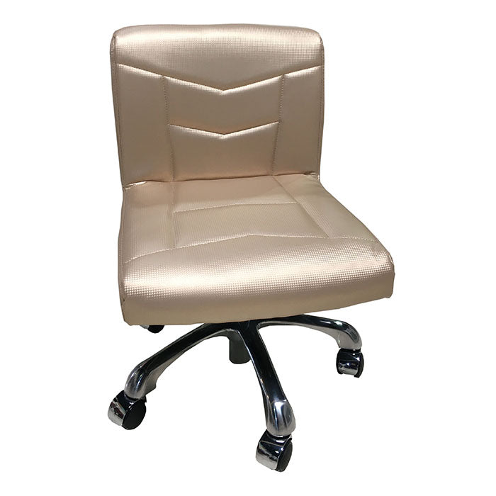 TS-LV001 Pedicure Technician Stool